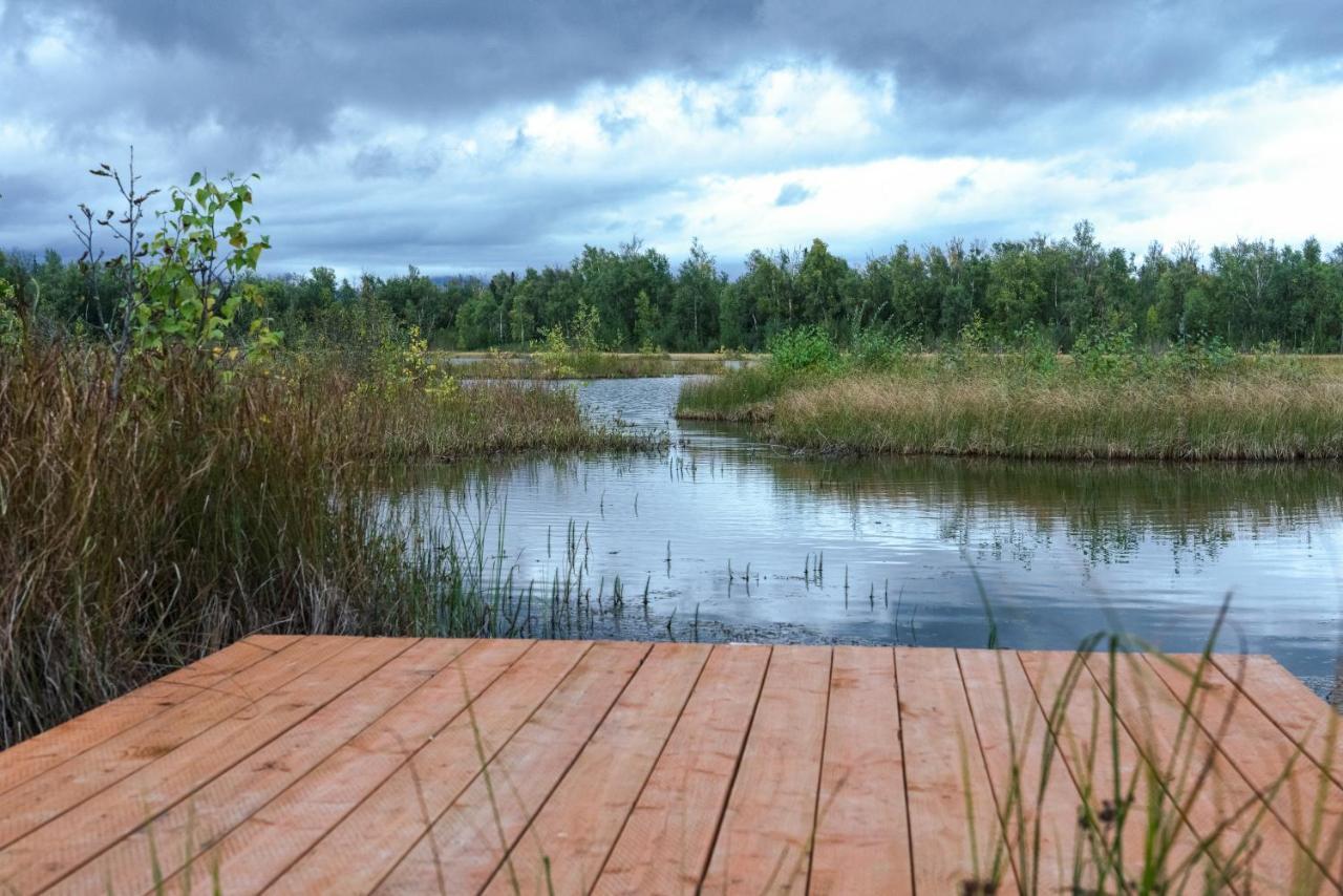 Snowgoose Pond Palmer
